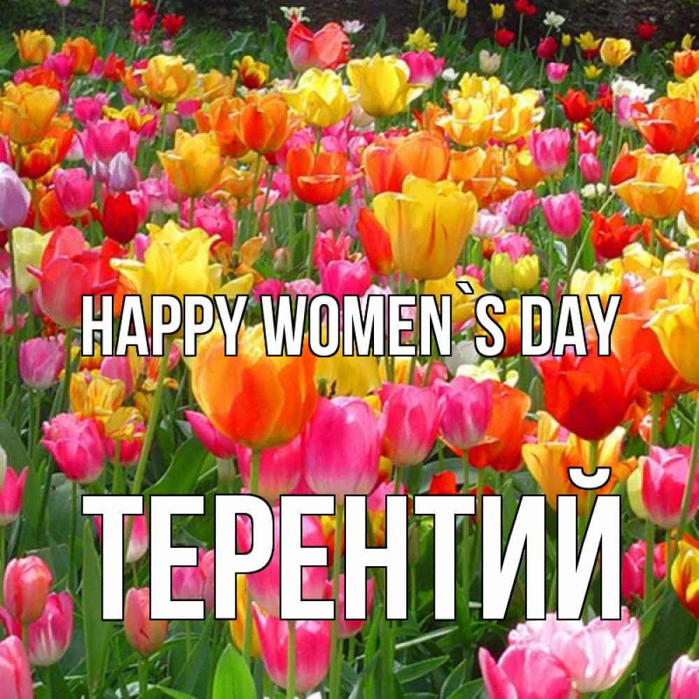 Greetings card с именем, Терентий happy women`s day на международный женский день Greetings with text for free download 